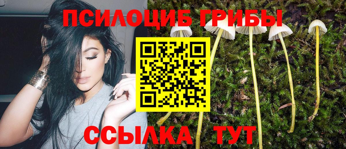 Кимовск  Псилоцибиновые грибы MAGIC MUSHROOMS  Вход с VPN 