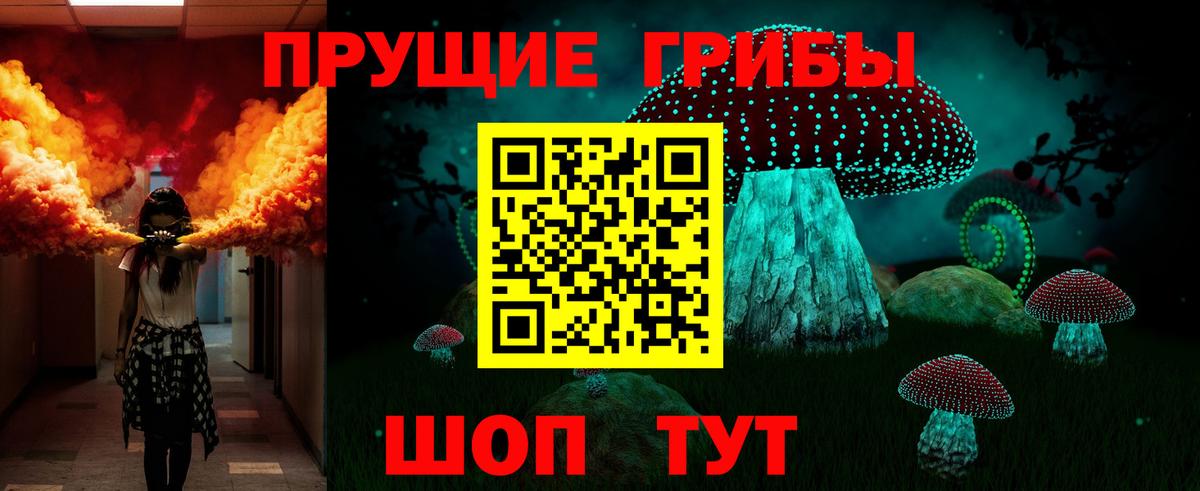 Псилоцибиновые грибы GOLDEN TEACHER Кимовск